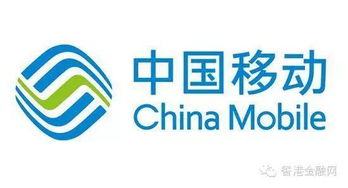 中國移動(dòng)318億重組鐵通，技術(shù)咨詢崗員工待遇成焦點(diǎn)